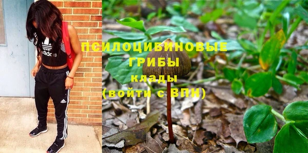 дживик Алексин